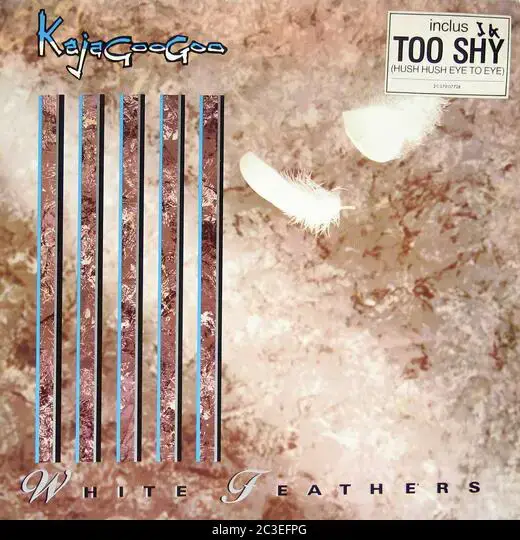 Kajagoogoo White Feathers + Too Shy France - Vintage 12'' vinyl LP Cover  Stock Photo - Alamy