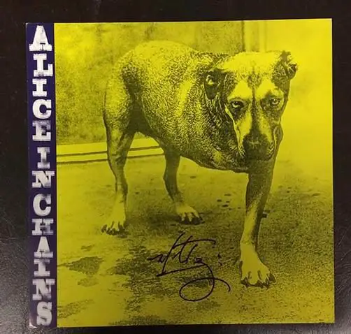 Alice In Chains Songs Ranked Return Of Rock Alice In Chains Songs Ranked Return Of Rock