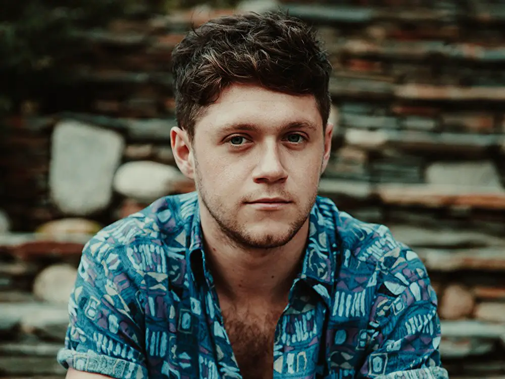 Niall Horan Songs Ranked Return Of Rock