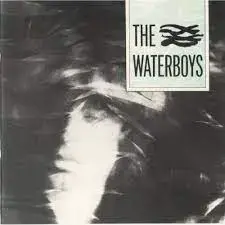 The Waterboys - The Waterboys - Reviews - Album of The Year