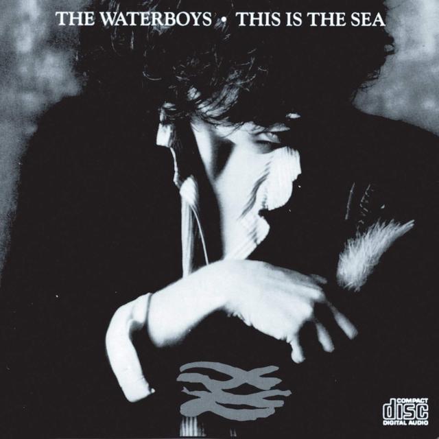 Happy Anniversary: The Waterboys, This Is The Sea | Rhino