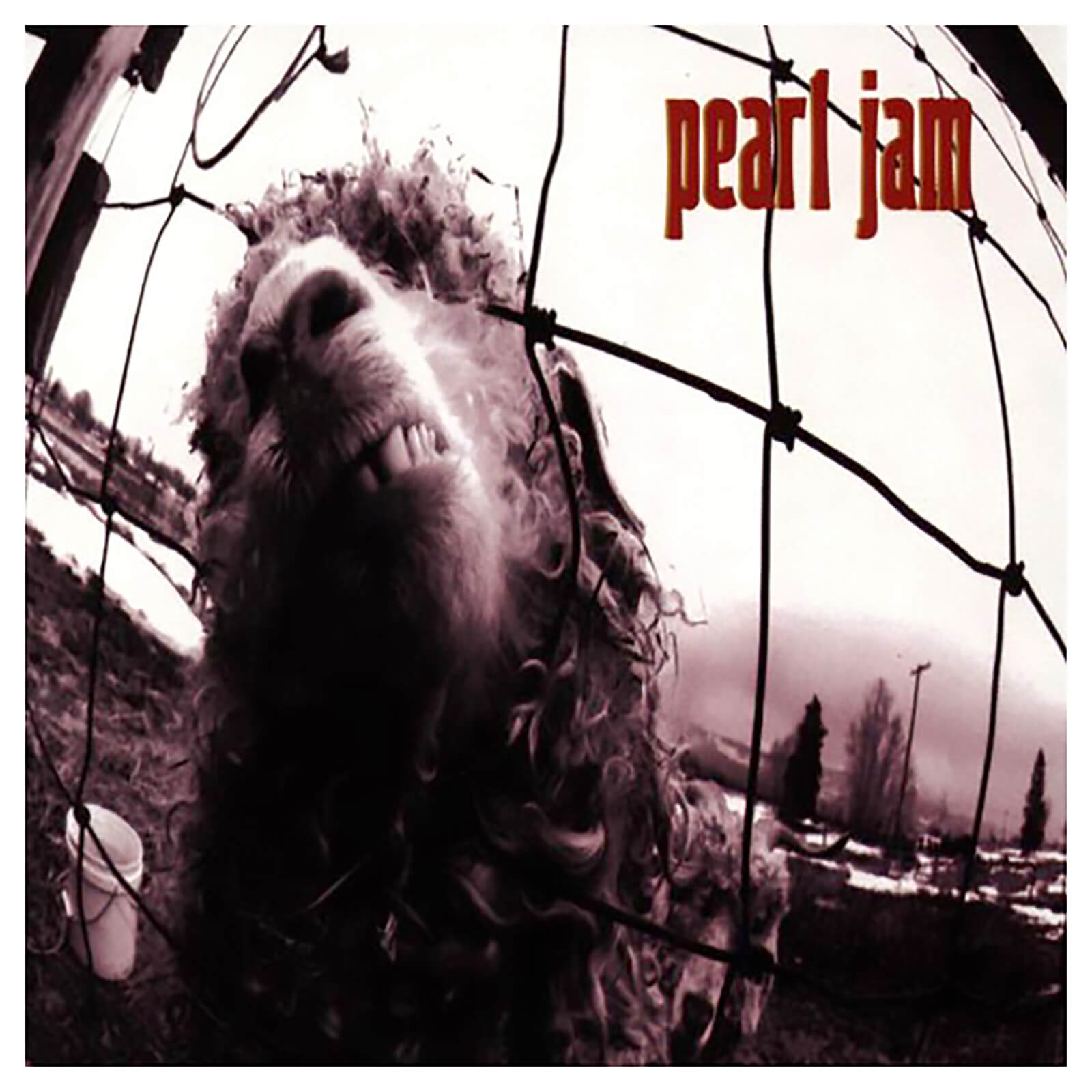 Pearl Jam Albums Ranked Return of Rock