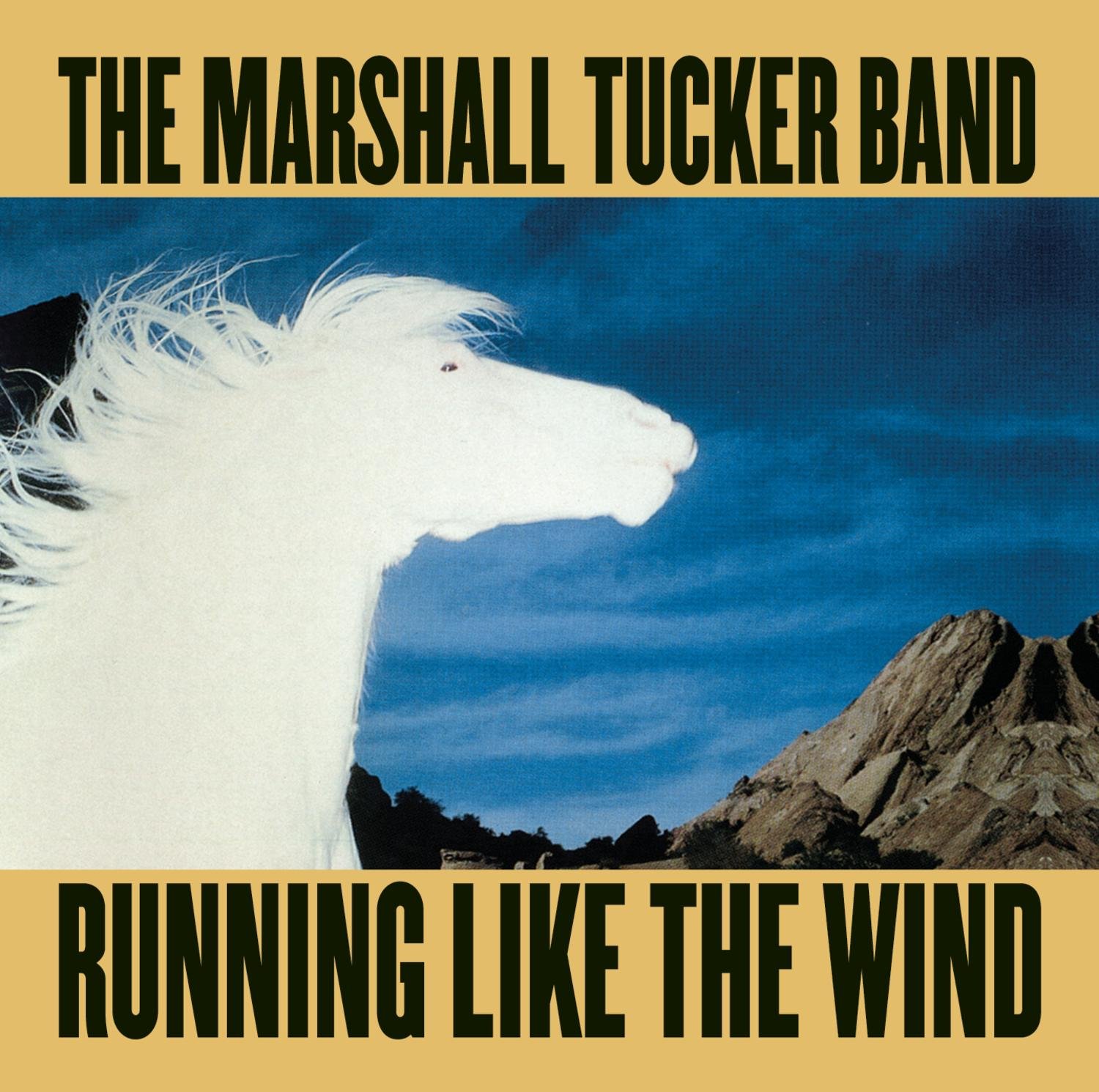 The Marshall Tucker Band Albums Ranked Return of Rock