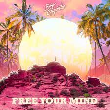 Big Gigantic - Free Your Mind - Reviews - Album of The Year