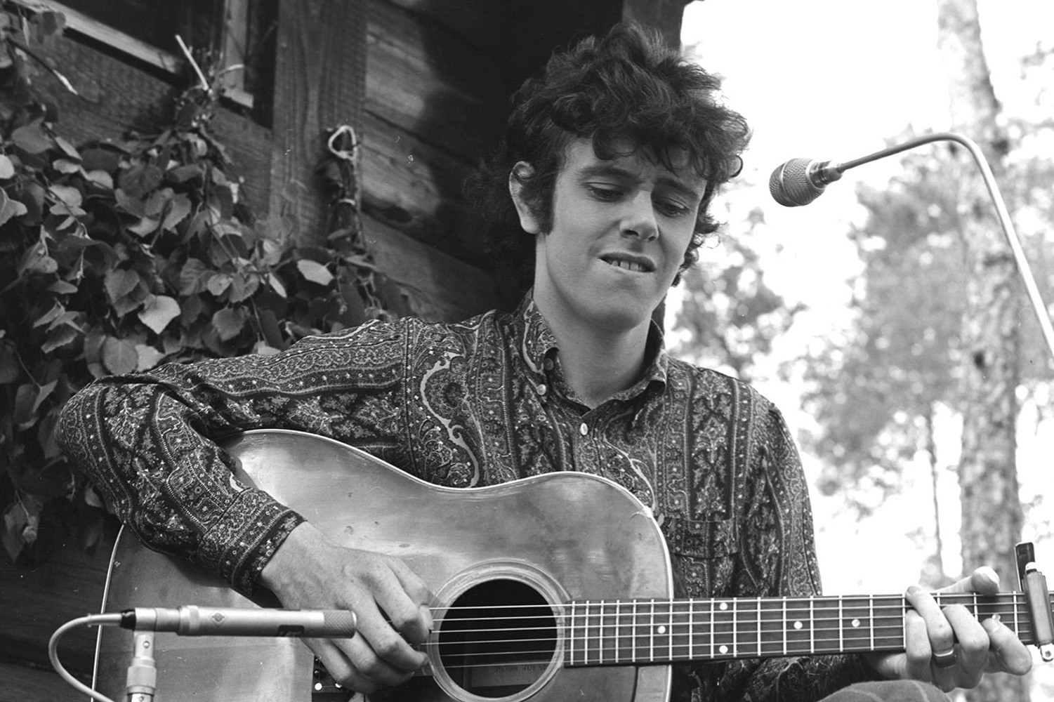 Donovan Albums Ranked | Return of Rock