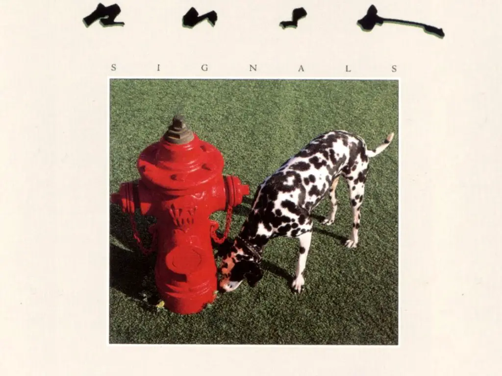 Signals Songs Ranked Return of Rock